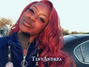 TinyAndrea