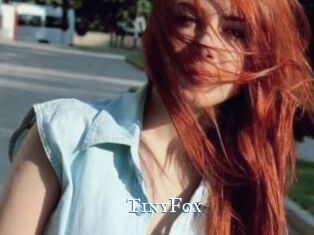 TinyFox