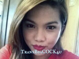 TransBigCOCK4u