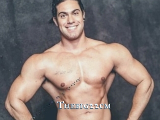 Thebig22cm