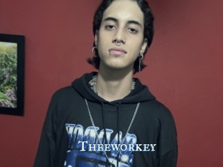 Theeworkey