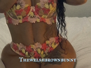 Thewelshbrownbunny