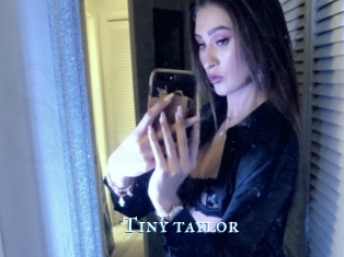 Tiny_taylor