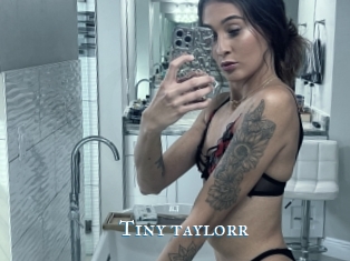 Tiny_taylorr