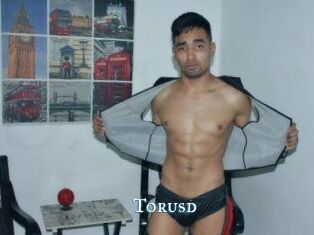Torusd