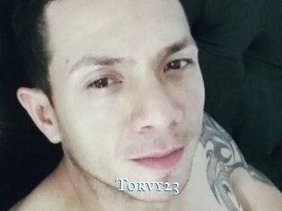 Torvy23