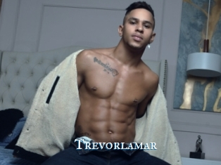 Trevorlamar