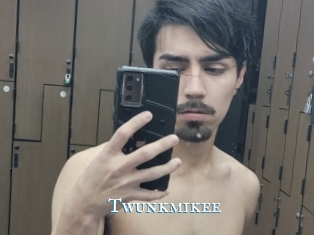 Twunkmikee