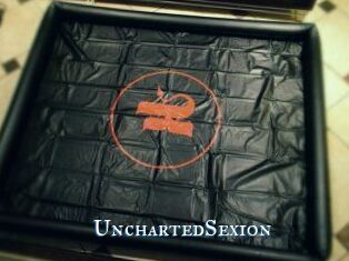 UnchartedSexion