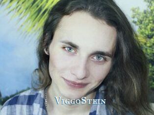 ViggoStein