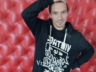 VinHorny sexchat