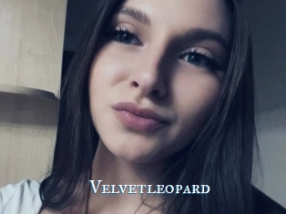 Velvetleopard