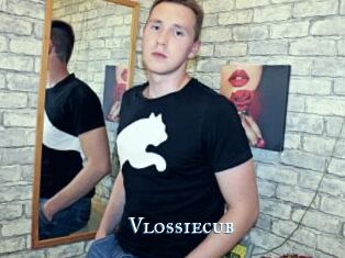 Vlossiecub