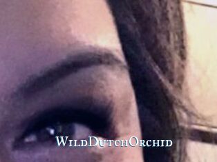 WildDutchOrchid