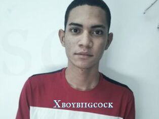 Xboybiigcock