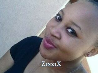 ZinziX